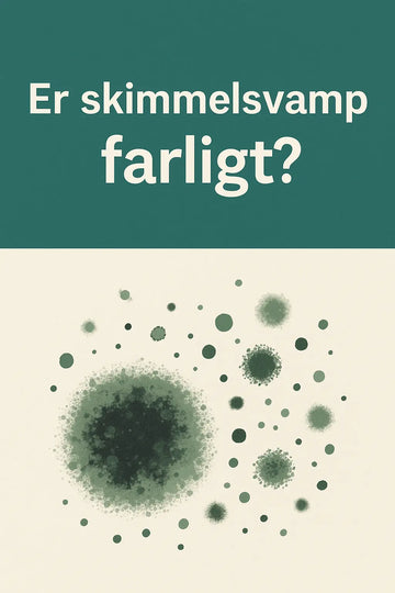 Er skimmelsvamp farligt? Sandheden du bør kende (og hvornår du skal reagere) MiljøLab ApS